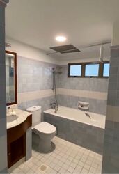 Cavenagh Lodge (D9), Apartment #629630931